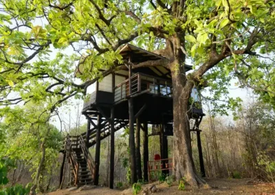 pench tree lodge - pench - image