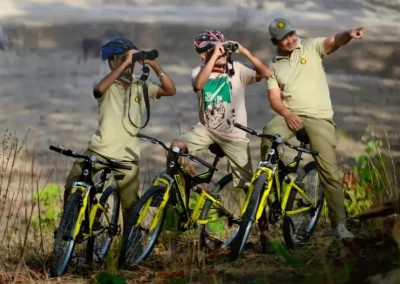 pench tree lodge - pench - image