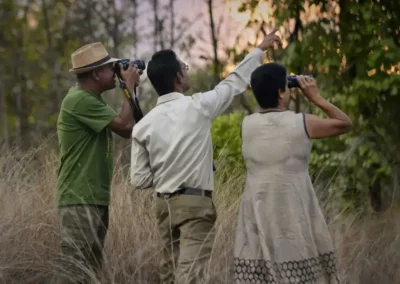 pench tree lodge - pench - image