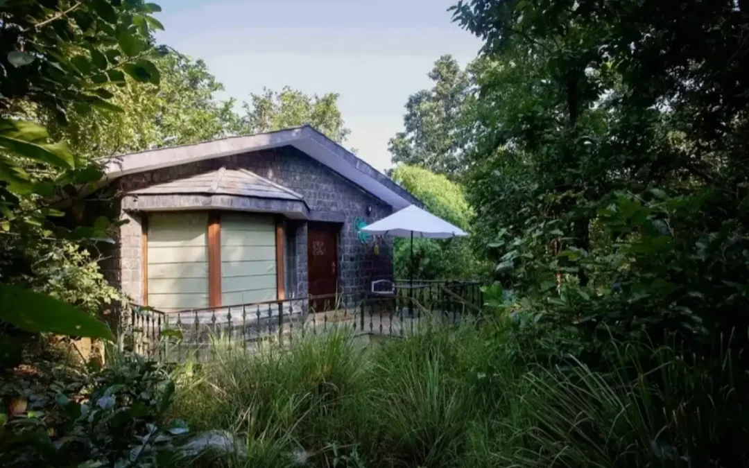 Singinawa Jungle Lodge