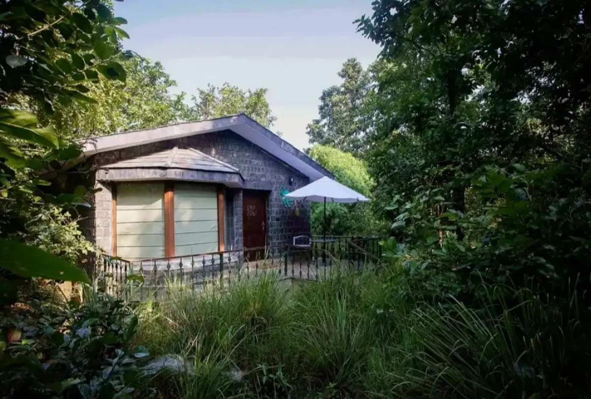 Singinawa Jungle Lodge