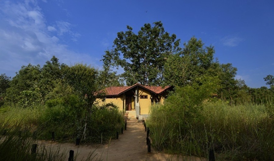 Kanha Earth Lodge